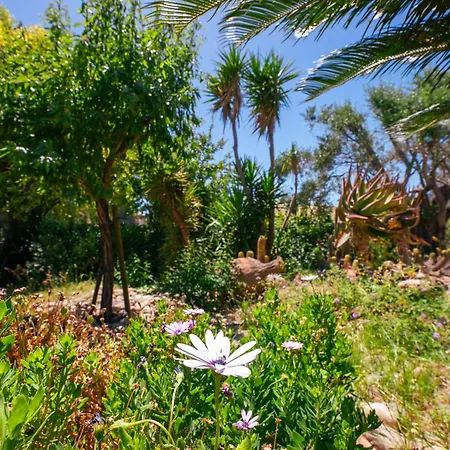 Paisible, Piscine, Bbq & Terrain De Petanque