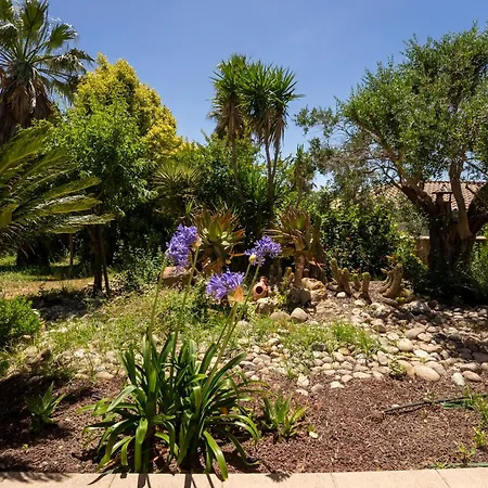 Paisible, Piscine, Bbq & Terrain De Petanque *