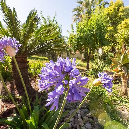 Paisible, Piscine, Bbq & Terrain De Petanque *